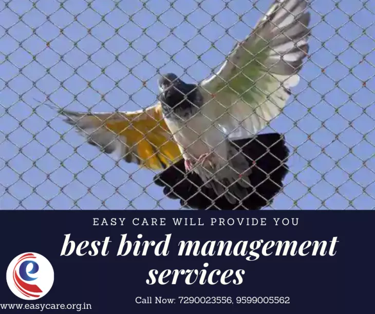 birds control providers