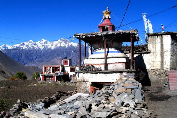 View of Mustang