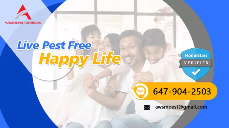Awesome Pest Control Services Toronto