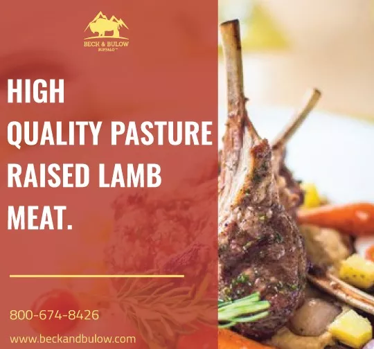 Purchase Pasture Raised New Zealand Lamb Meat Online