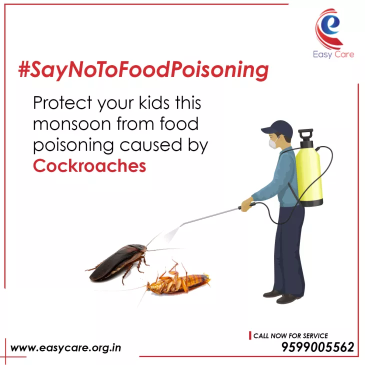 Cockroach Control Services