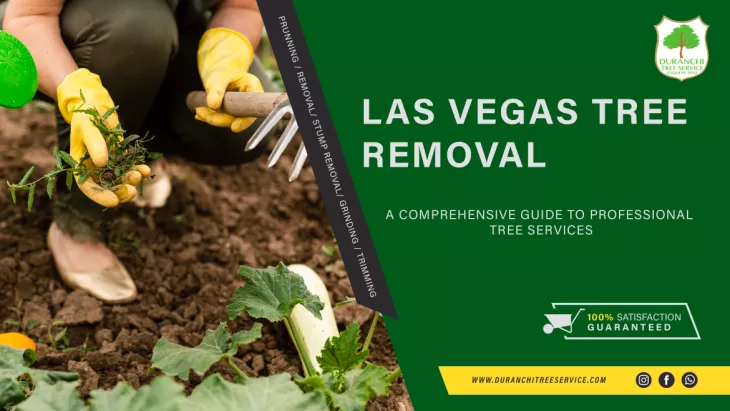 Las Vegas Tree Removal