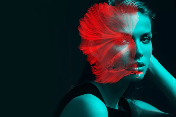 Digital retouching 