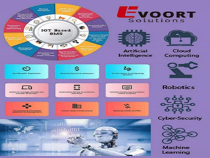 Web, Mobile App Development