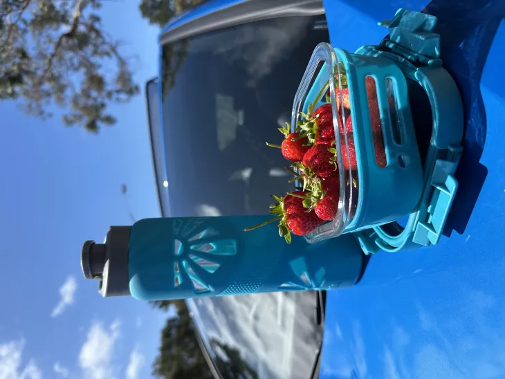 Water Bottle and Tiffin Box