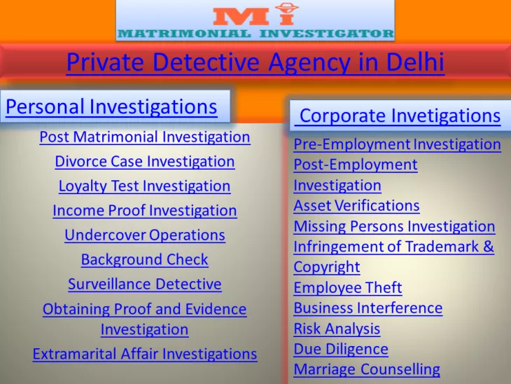Detectives in Delhi