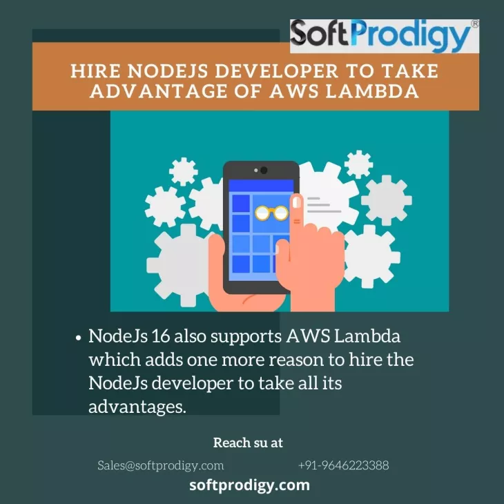 hire the NodeJs developer