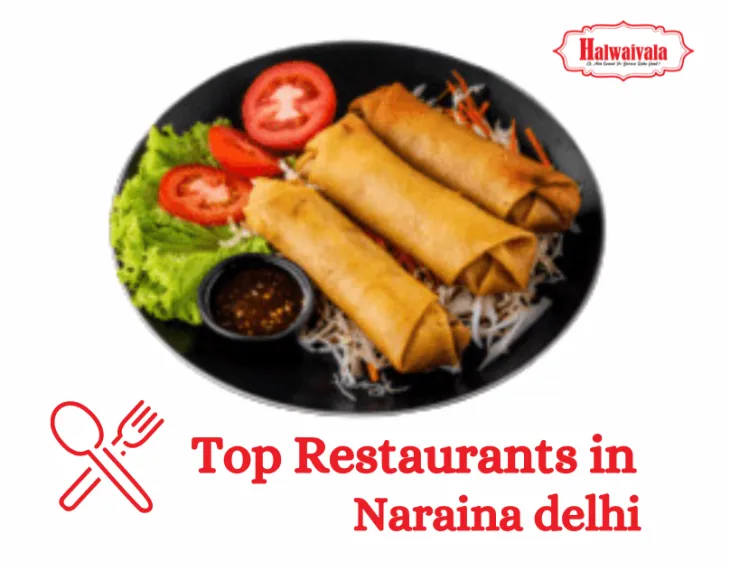 Best Restaurants in Naraina delhi