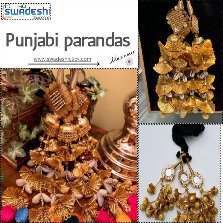 Punjabi paranda online
