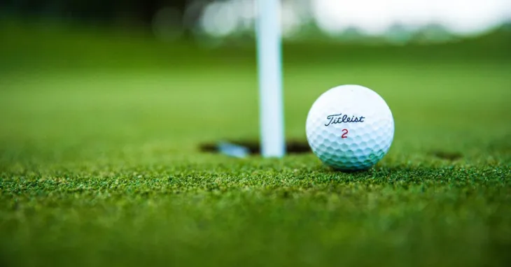 artificial grass dubai