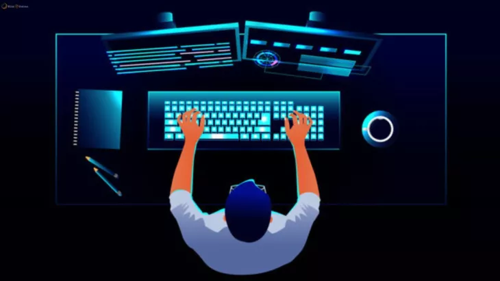 Web Developer 