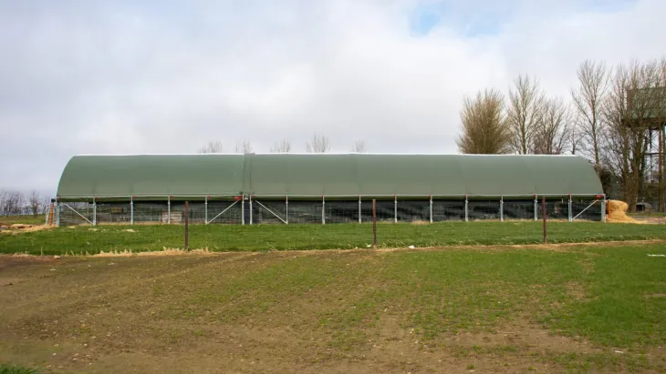 Using Lambing Sheds to Create Optimal Environments for Healthy Lamb Development