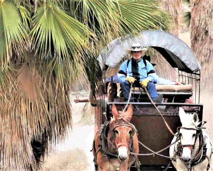 Palm Spring Desert Tours