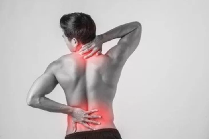Chiropractic Service