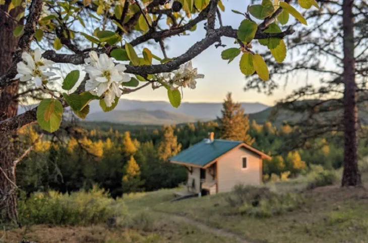 Cabin