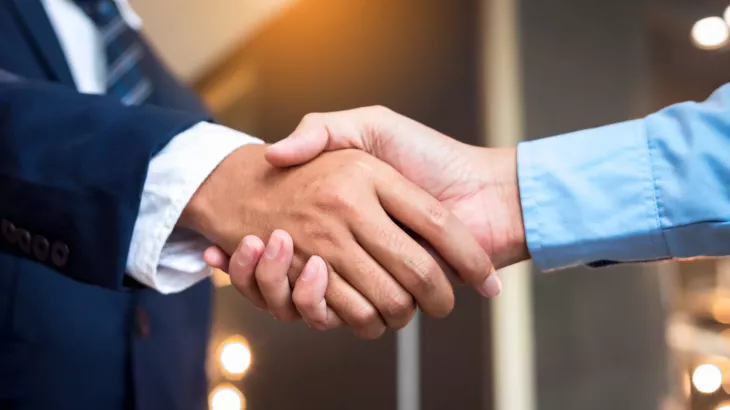 limited company insurance
