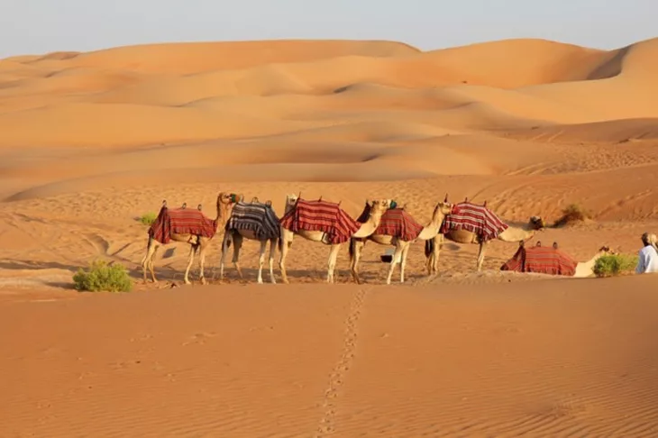 Evening Desert Safari in Dubai