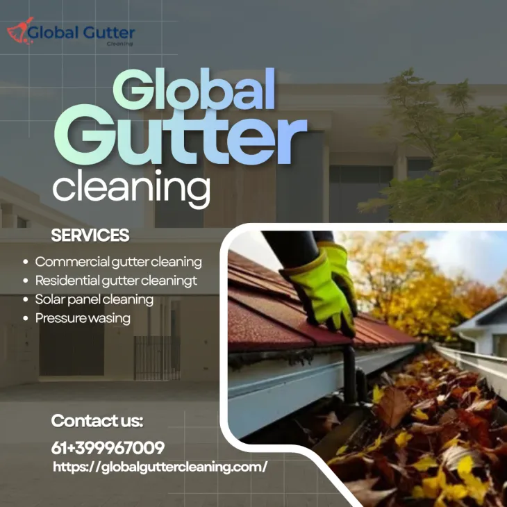 Gutter Cleaning 