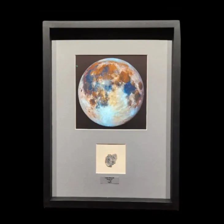 Artefactum Gallery Dubai fossils and meteorites