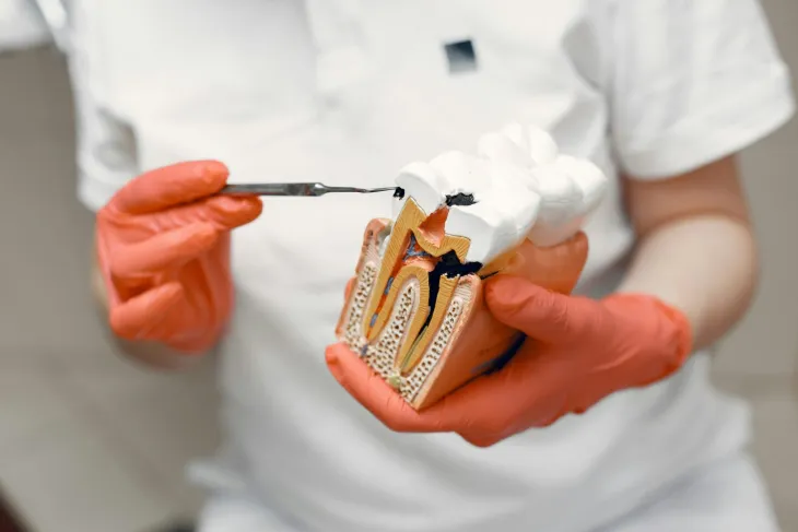 Dental Services