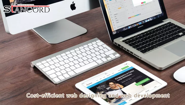 low cost website design in Pune