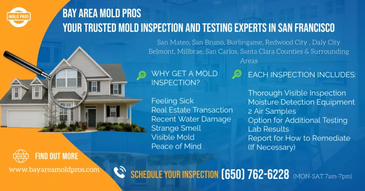 Santa Clara Mold Inspection & Testing Services
