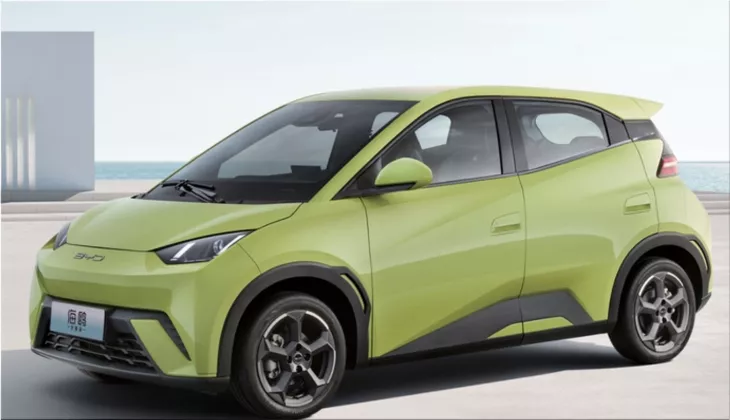 BYD Dolphin Mini Honor