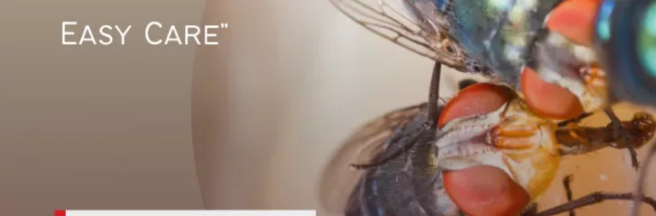 FLY CONTROL SERVICES