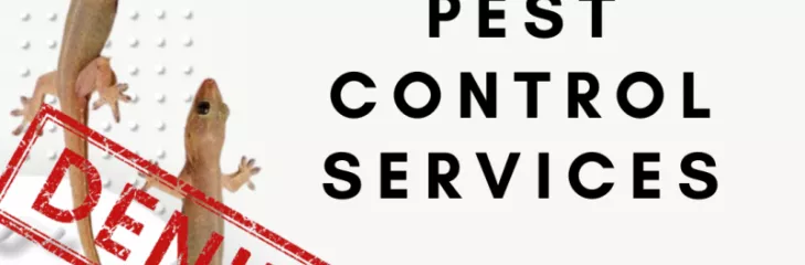 Lizard pest control services