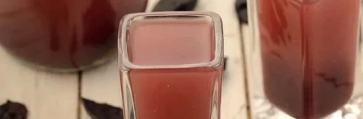 Best Kokum Syrup Manufacturer