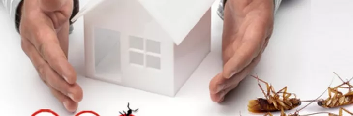 Pest Control Services  Awesomepest