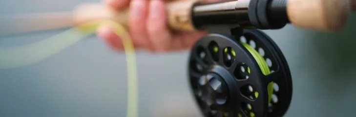 Fishing Guide 101: Basic fishing equipment for beginners