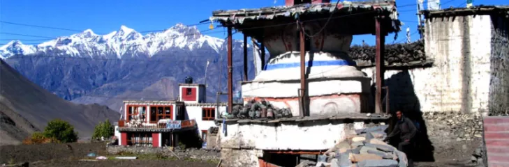 View of Mustang
