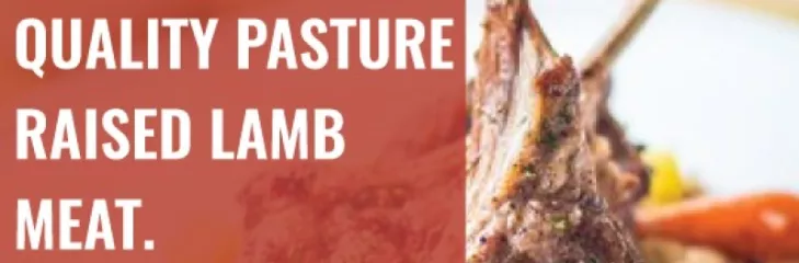 Purchase Pasture Raised New Zealand Lamb Meat Online