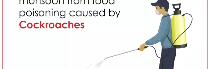 Cockroach Control Services