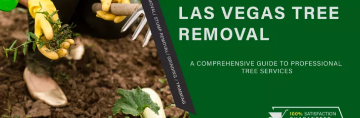Las Vegas Tree Removal