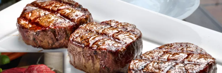 wholesale bison meat