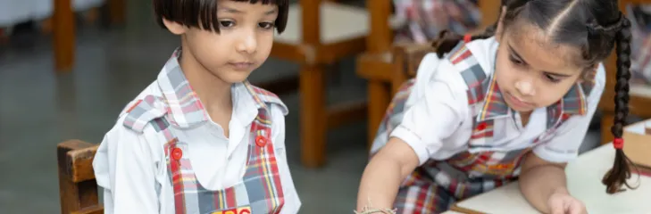 BIPS Preschool in patiala