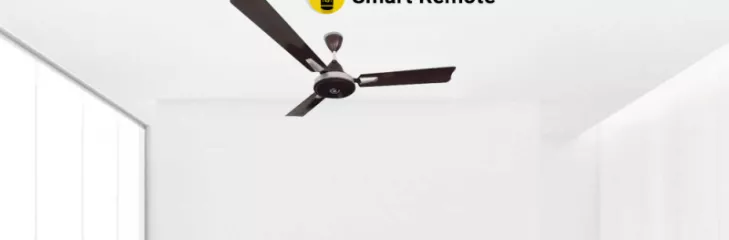 ceiling fan