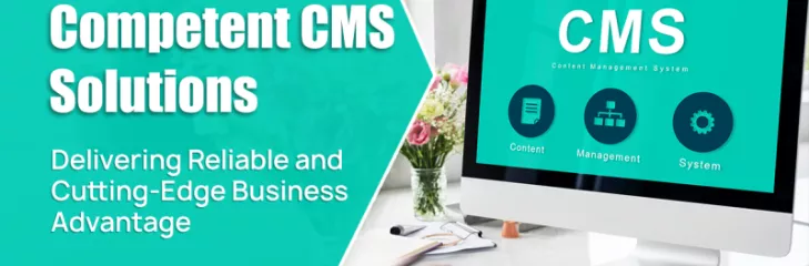 #1 Content Management Development Company in USA