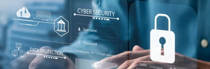 Everything You Need to Know About Cybersquatting - WhiteLint Global