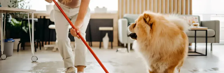 Pet-Safe Floor Cleaners Keep Your Floors Clean and Pets Protected
