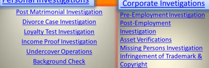 Detectives in Delhi