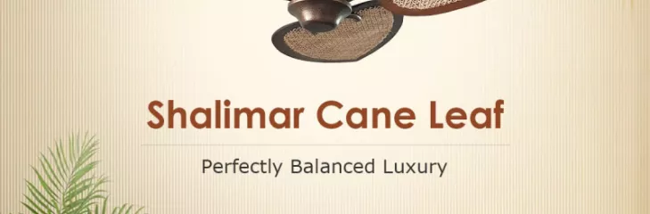 Best Designer ceiling fans by The Fan Studio