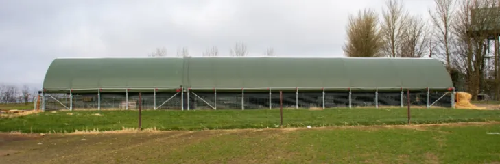 Using Lambing Sheds to Create Optimal Environments for Healthy Lamb Development