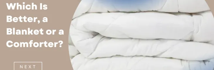 buy best comforter online