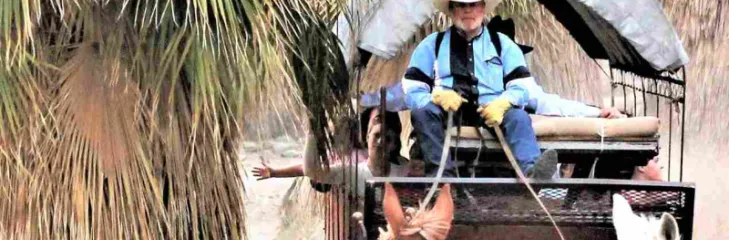Palm Spring Desert Tours
