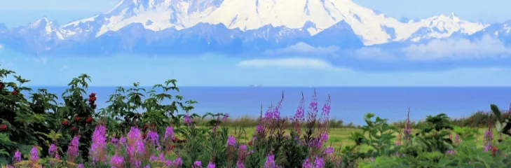 Uttarakhand