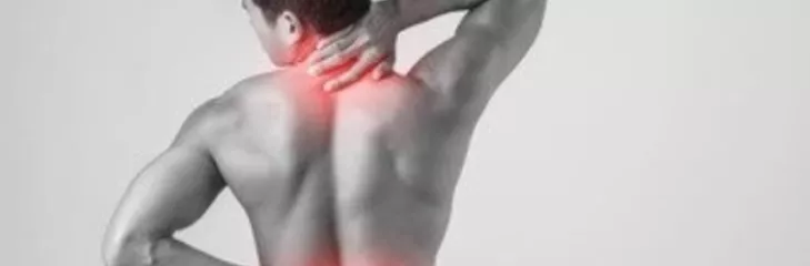 Chiropractic Service