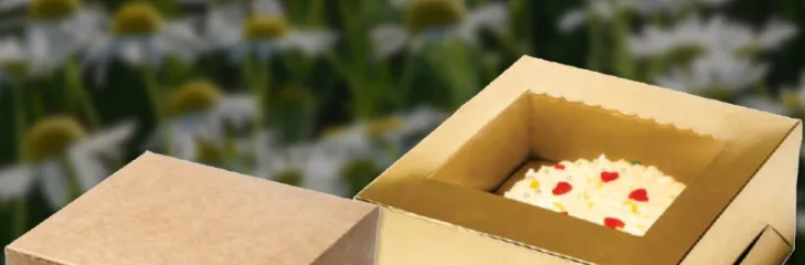 cake boxes